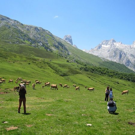 Hosteria Picos De Europa Potes Bagian luar foto