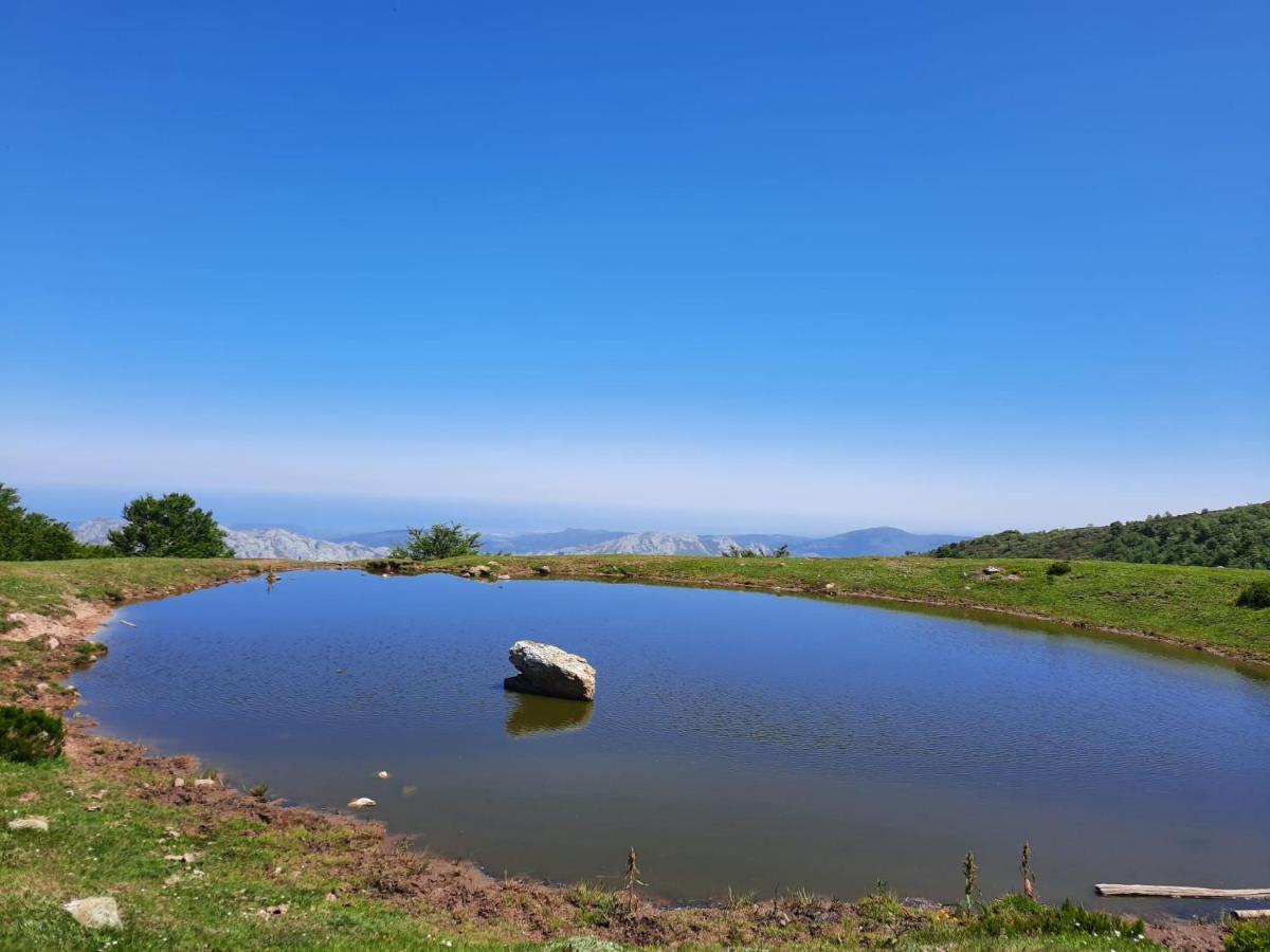 Hosteria Picos De Europa Potes Bagian luar foto