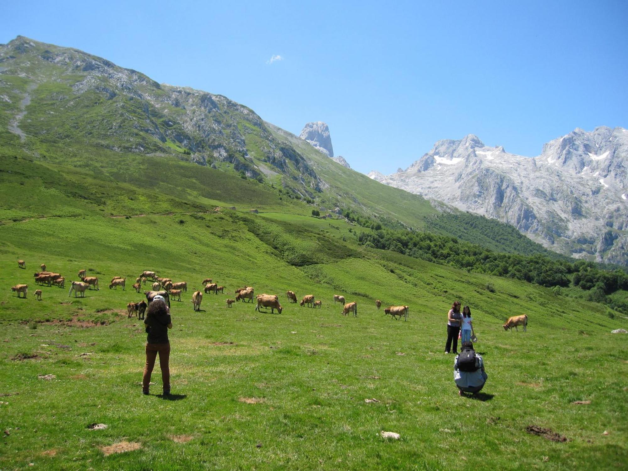 Hosteria Picos De Europa Potes Bagian luar foto