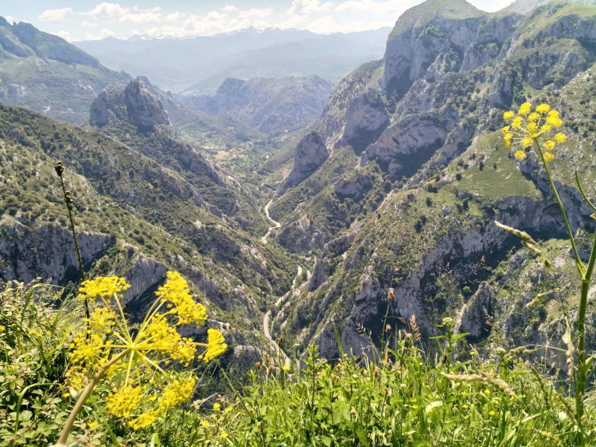 Hosteria Picos De Europa Potes Bagian luar foto