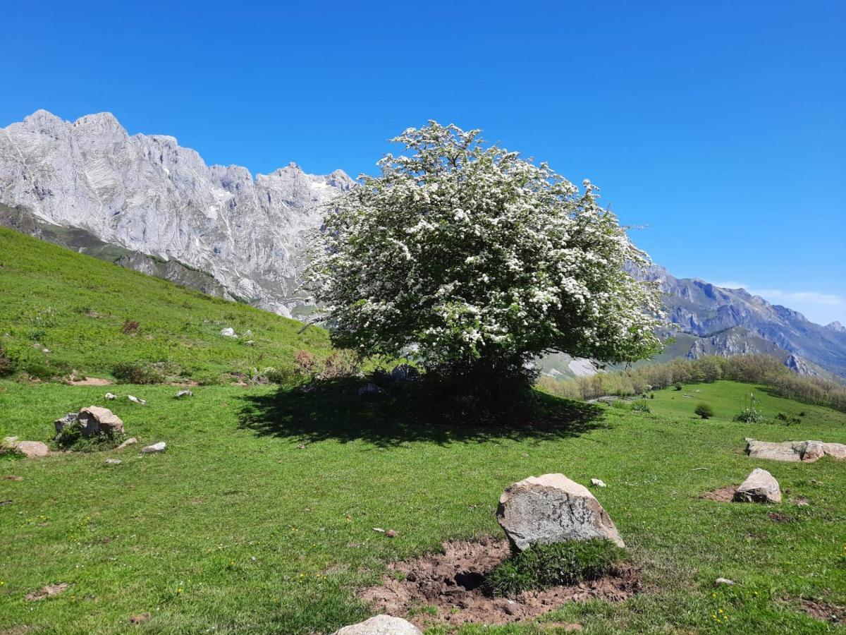 Hosteria Picos De Europa Potes Bagian luar foto